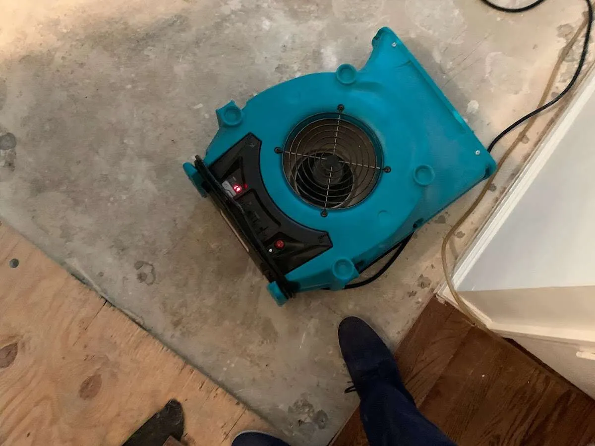 Air mover drying subfloor during Commercial Water Damage Restoration in Belvedere